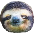 SeriousSloth SeriousSloth