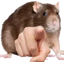 matchabr_mousepoint matchabr_mousepoint
