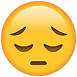 kurSi