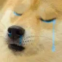 dogesad
