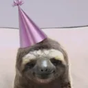 sloth