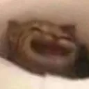 f_yeeCat