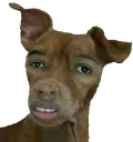 bruh
