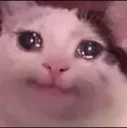 criesindespacito