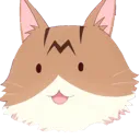tokiWaKita