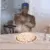 ricardopizza
