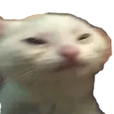 squintcat3