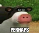 perhaps