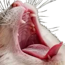 AAAAAAAAAAAAAAAAAAAAAAAAAAAAAAAA