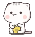 lb_146_monch