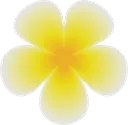 flower flower