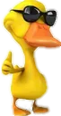 patinho