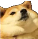 AREYOUFREAKINKIDDINGMEBRUH