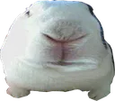 bun