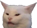memecat memecat