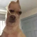 rly