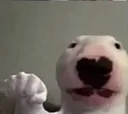 WalterFist