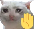 SadCatStop