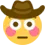 FlushedCowboy