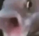 croppog croppog