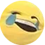 pain