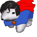 superbear
