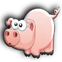pig