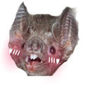 batchan Discord emoji
