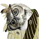 SilenceConcern