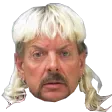 gilfsJoe