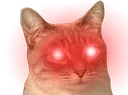 hypercat