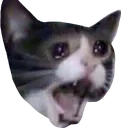 NOOOOO