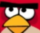 smhbird smhbird
