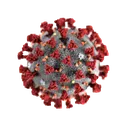 ChineseVirus ChineseVirus