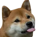 reDogTongue Discord Emoji