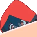 MichiPeek