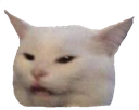 8a_cat_meme Discord emoji