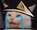 AsianCat Discord Emoji