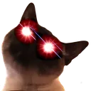 catWoke Discord Emoji