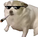 ThugPup