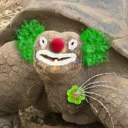 TE_clown_turtle