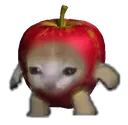 applecat
