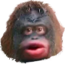 lemonke