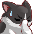 facepalmcat