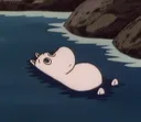 moom