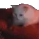 eddieKnead