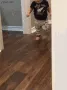 babyrun