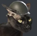 guri_soldado
