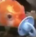 BinkyFish