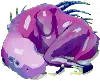 SnoozyAcrid